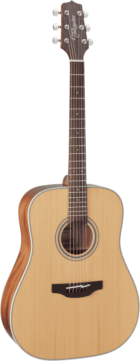 Takamine GD20-NS Natural Satin