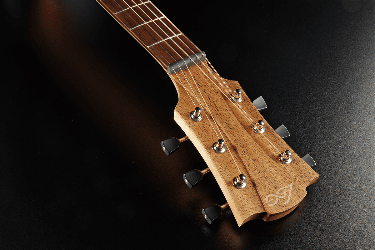 Tramontane T70DCE-B&B Dreadnought Ctw Black & Brown