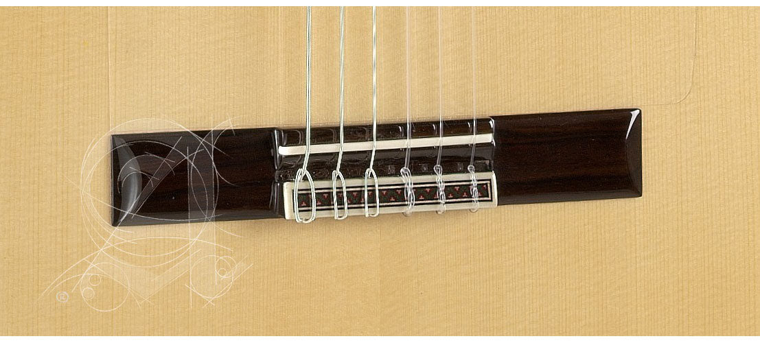 Concert 10Fc Flamenco + 9557 Etui
