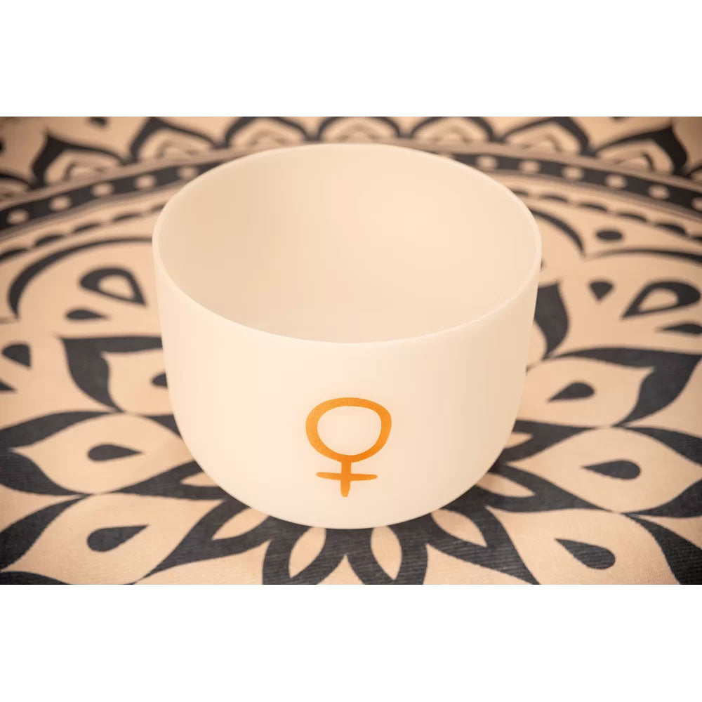 Singing Bowl Sonic Energy Cristal 12"