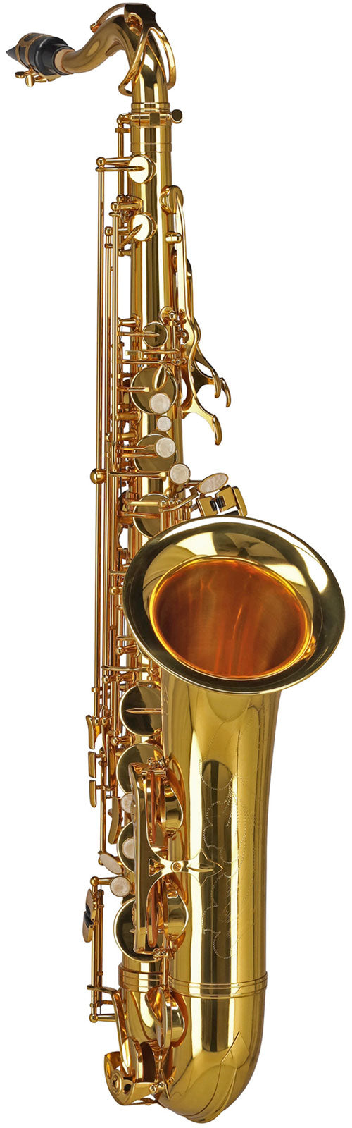 Ambition TS650 Ténor Sib Verni
