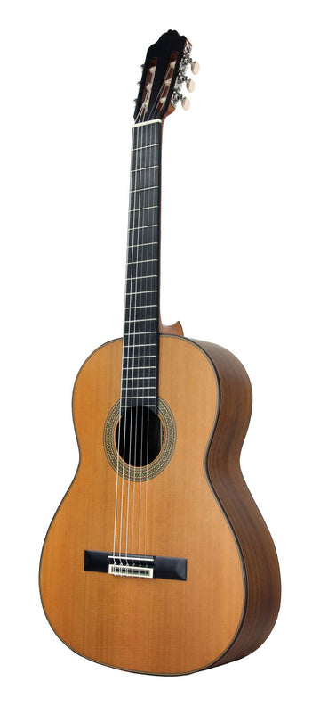 Guitare Mod.5 Table Cedre
