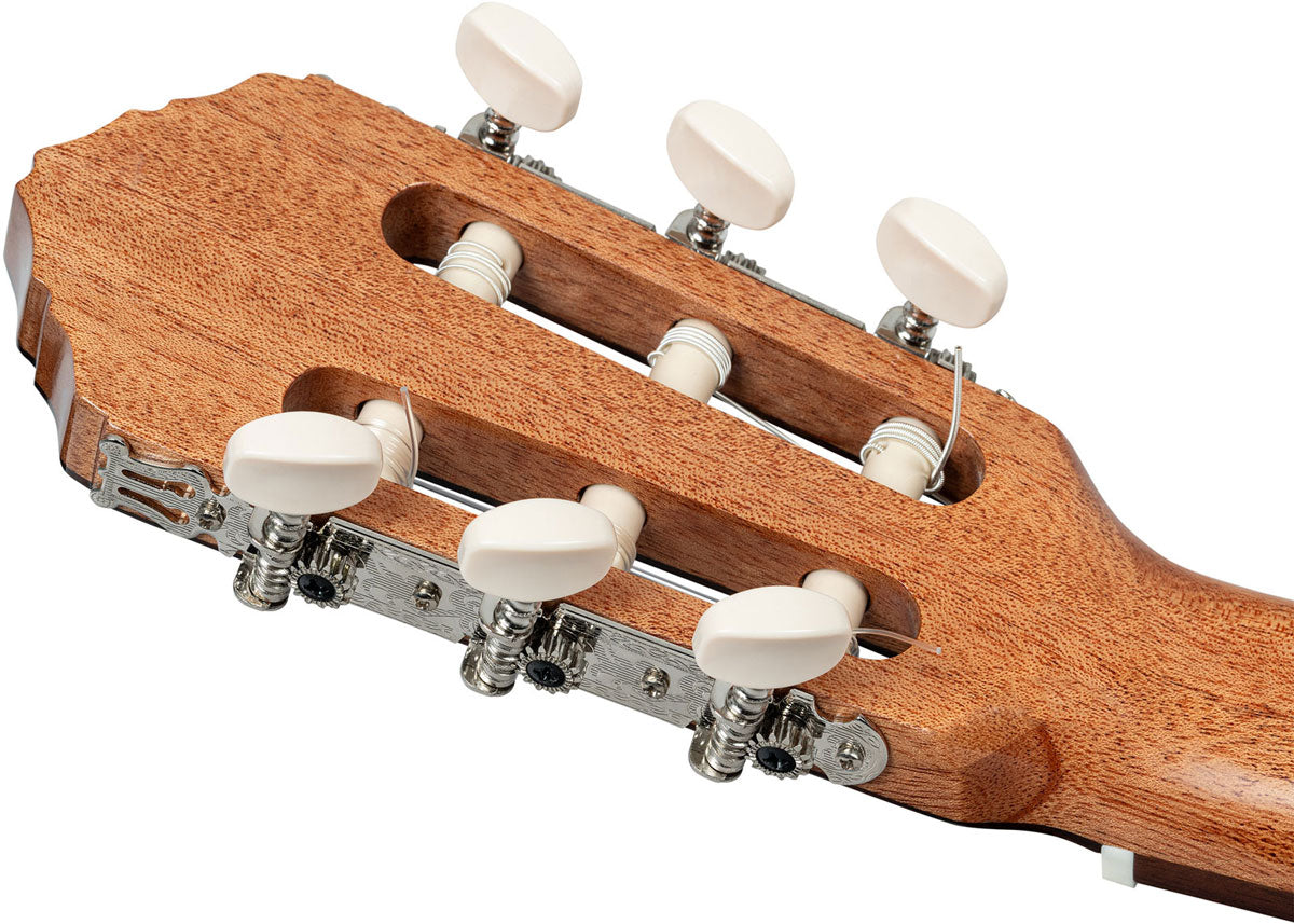 Traditional 4/4 + Pro Gig Bag