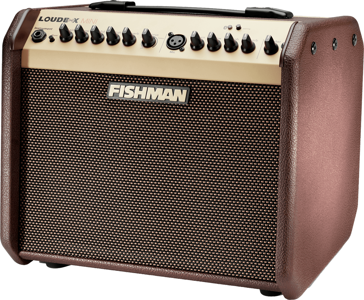 Fishman Loudbox Mini Bluetooth 60W