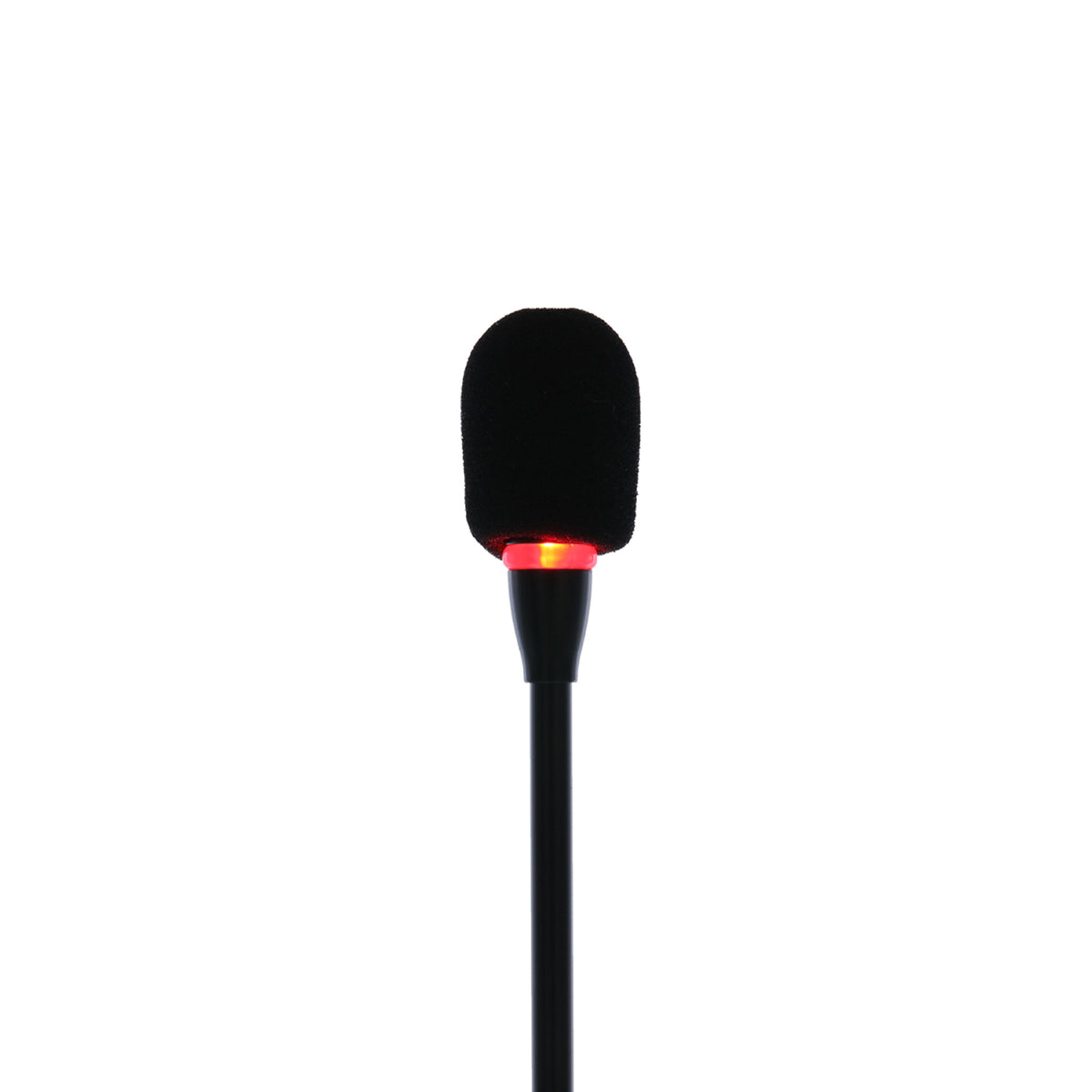 SC 404