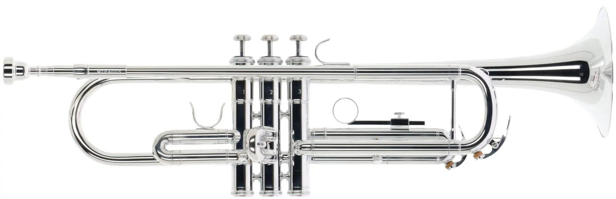 Woodbrass WTP400S - Si b Argentée