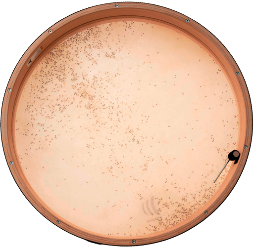 RTS 51CD - Coast Drum 20" (50CM)