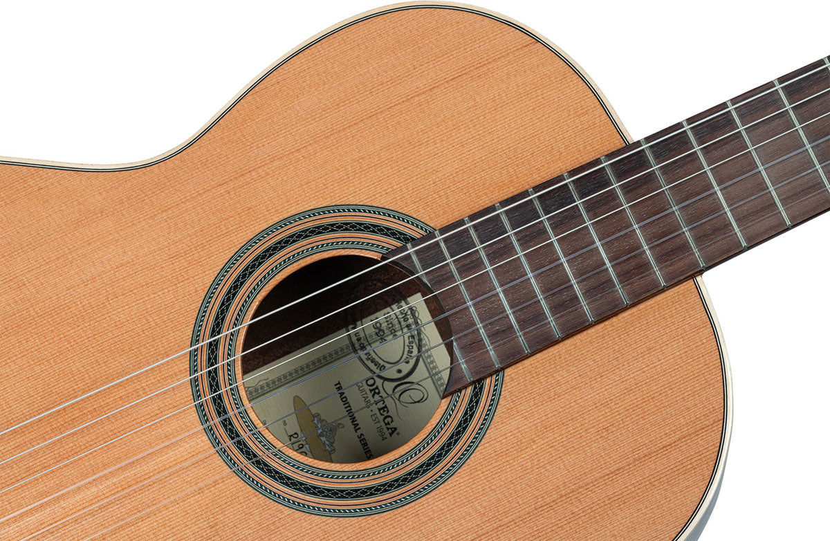 Traditional 4/4 + Pro Gig Bag