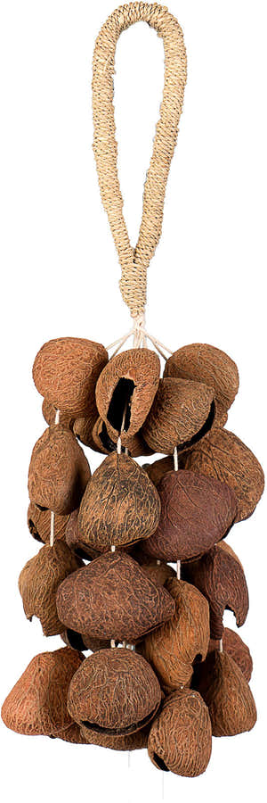 SESDS3 Seed Shaker 4 Rangées Pangi