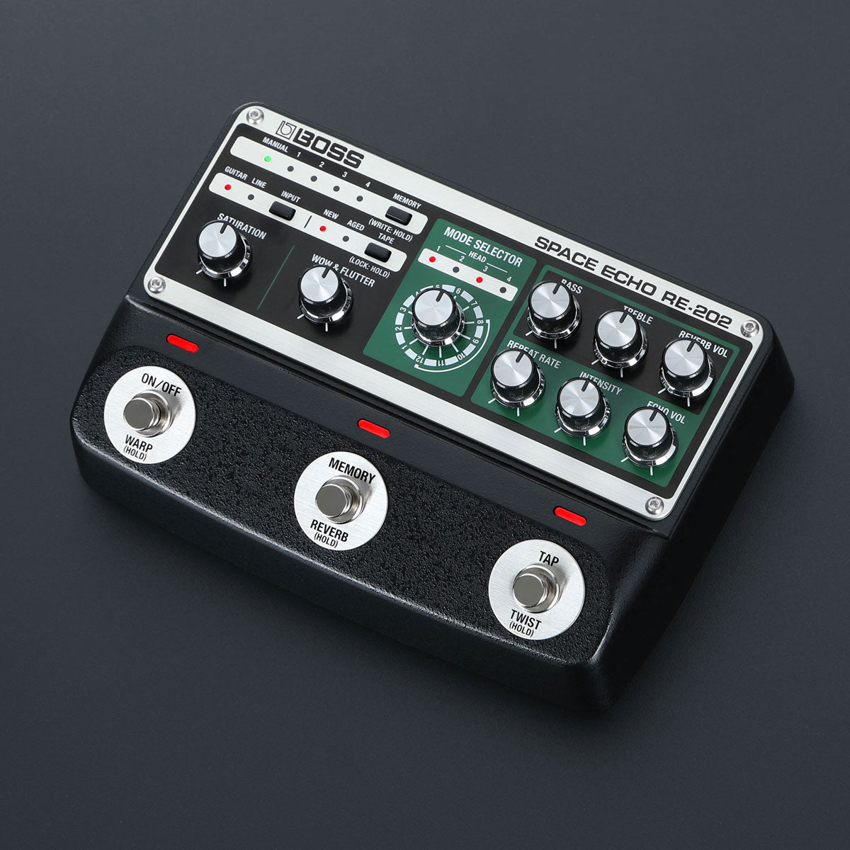 RE-202 - Space Echo