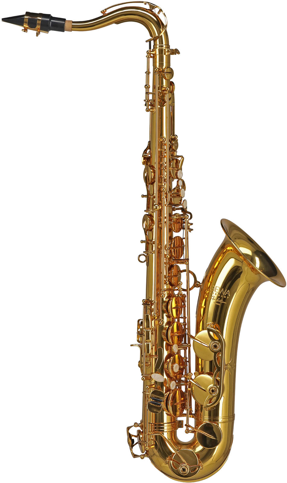 Ambition TS650 Ténor Sib Verni