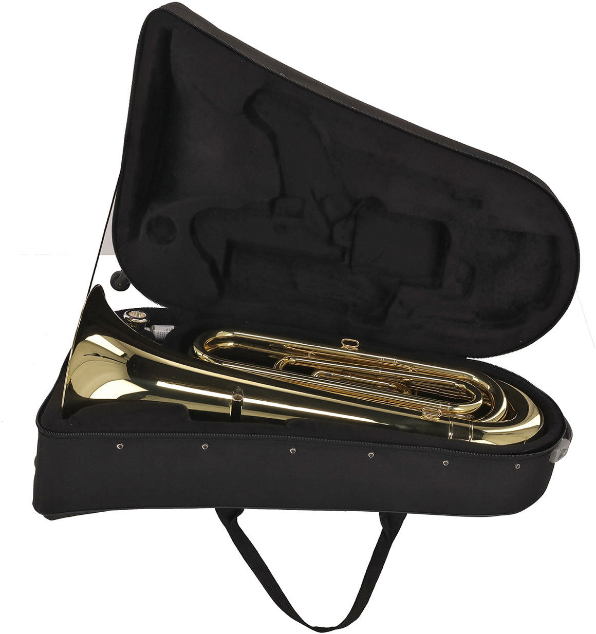 Ambition BB650 Contrebasse Sib Verni