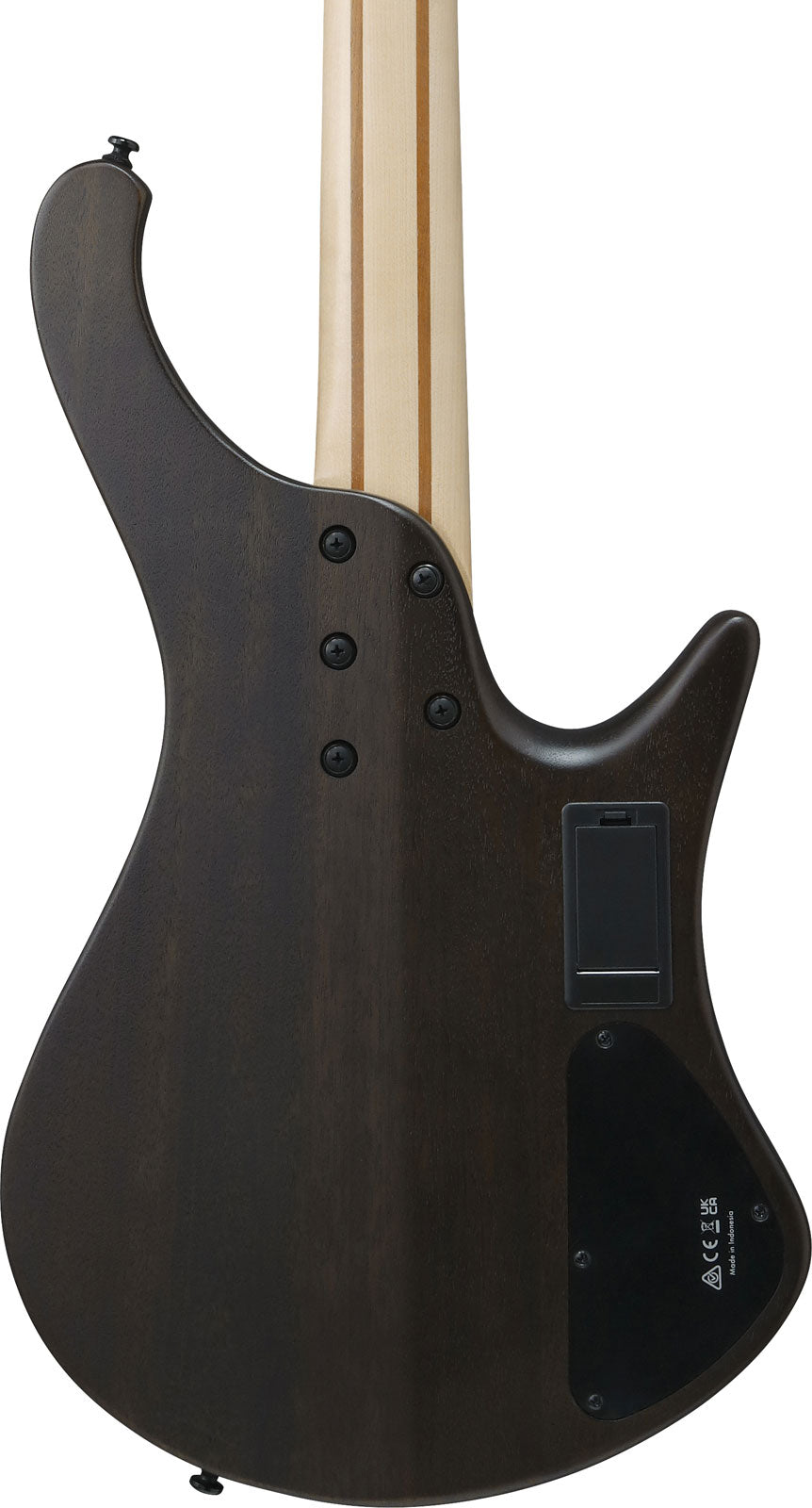 EHB600L Bass Workshop LTD Edition Gaucher Walnut Flat