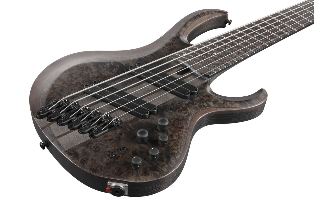 BTB806MS-TGF Transparent Gray Flat Bass Workshop
