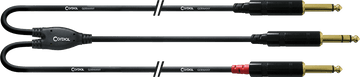 Câble Audio Jack Stéréo - 2 Jack Mono Longs 3 M