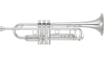 YTR8345GS Xeno Sib Argentée