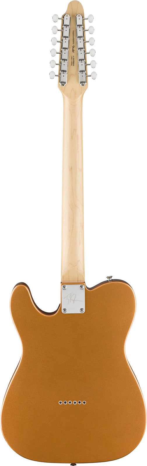 Telecaster Paranormal Troy Van Leeuwen XII, LRL Copper