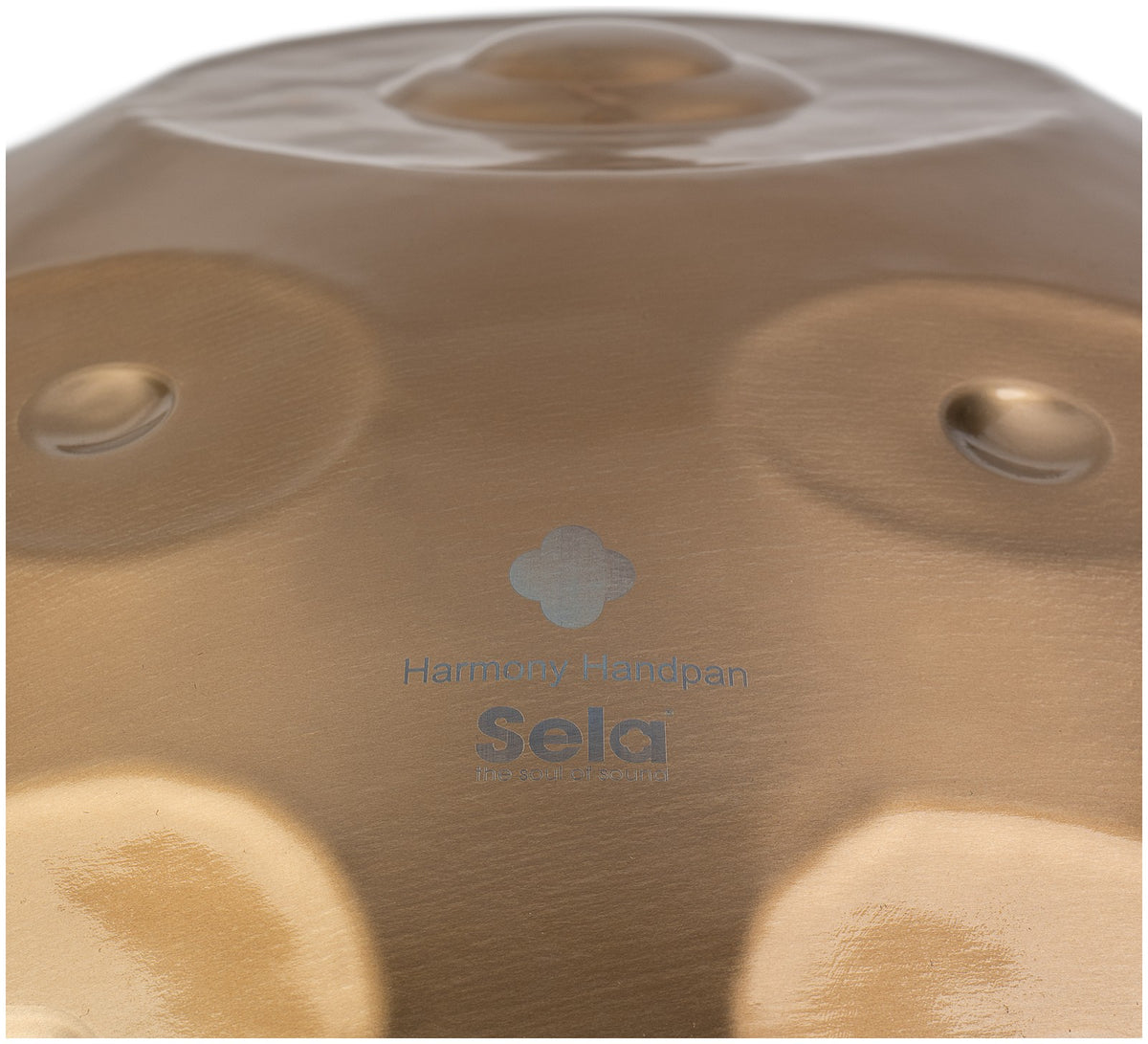Harmony Handpan D Kurd 11+2 - Stainless Steel