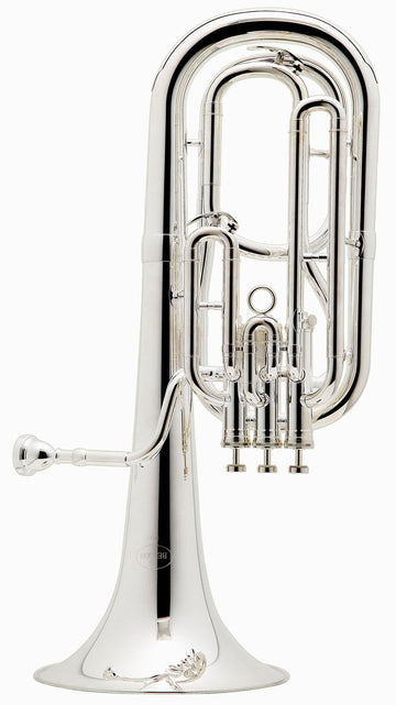 Prodige Sib Argenté - BE157-2-0