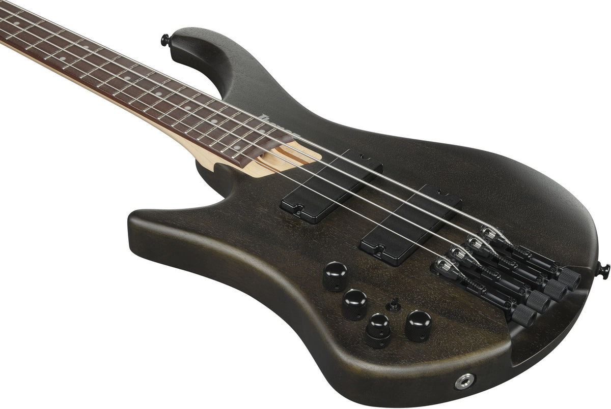 EHB600L Bass Workshop LTD Edition Gaucher Walnut Flat