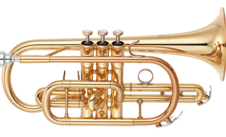 YCR6335II - Sib Verni