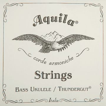 Thundergut Jeu Ukulélé Basse 5 Cordes B-EADG