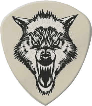 6 x 1,14mm Hetfield's White Fang Boîte