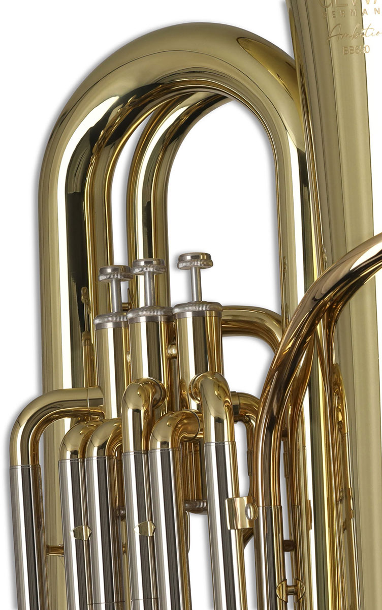 Ambition BB650 Contrebasse Sib Verni