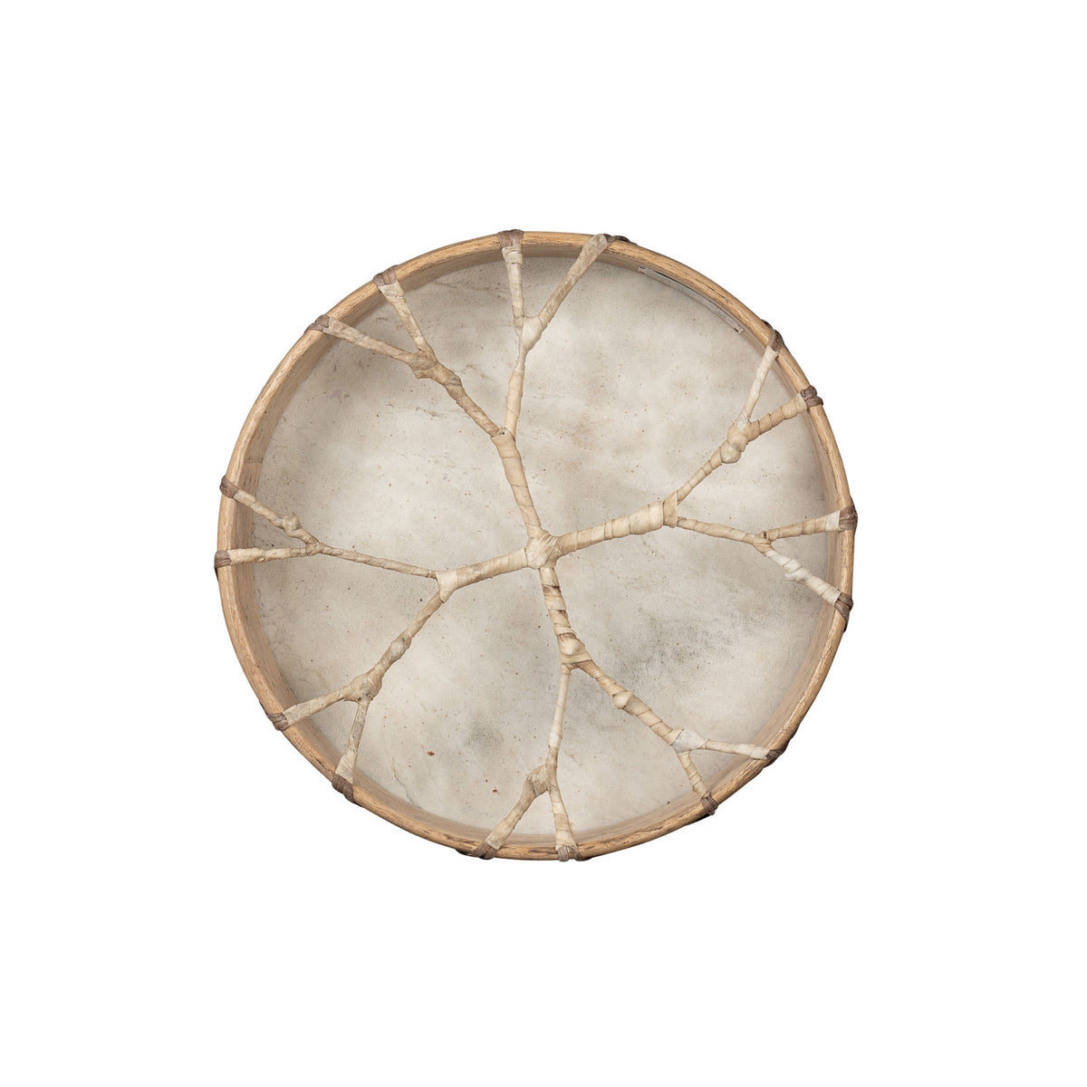 Shaman Drum Buffalo 16