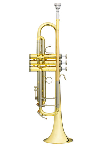 Challenger I Sib Vernie - BS3137-1-0