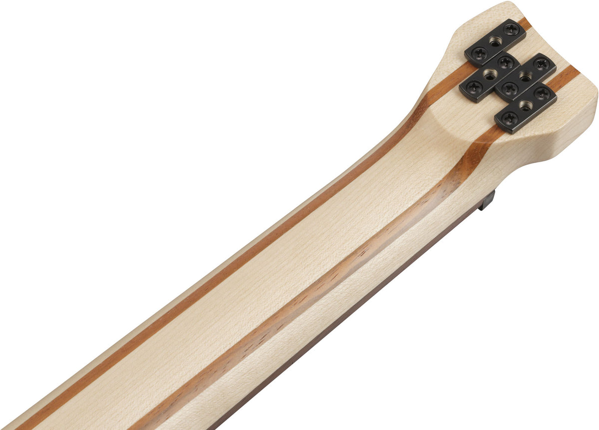 EHB600L Bass Workshop LTD Edition Gaucher Walnut Flat