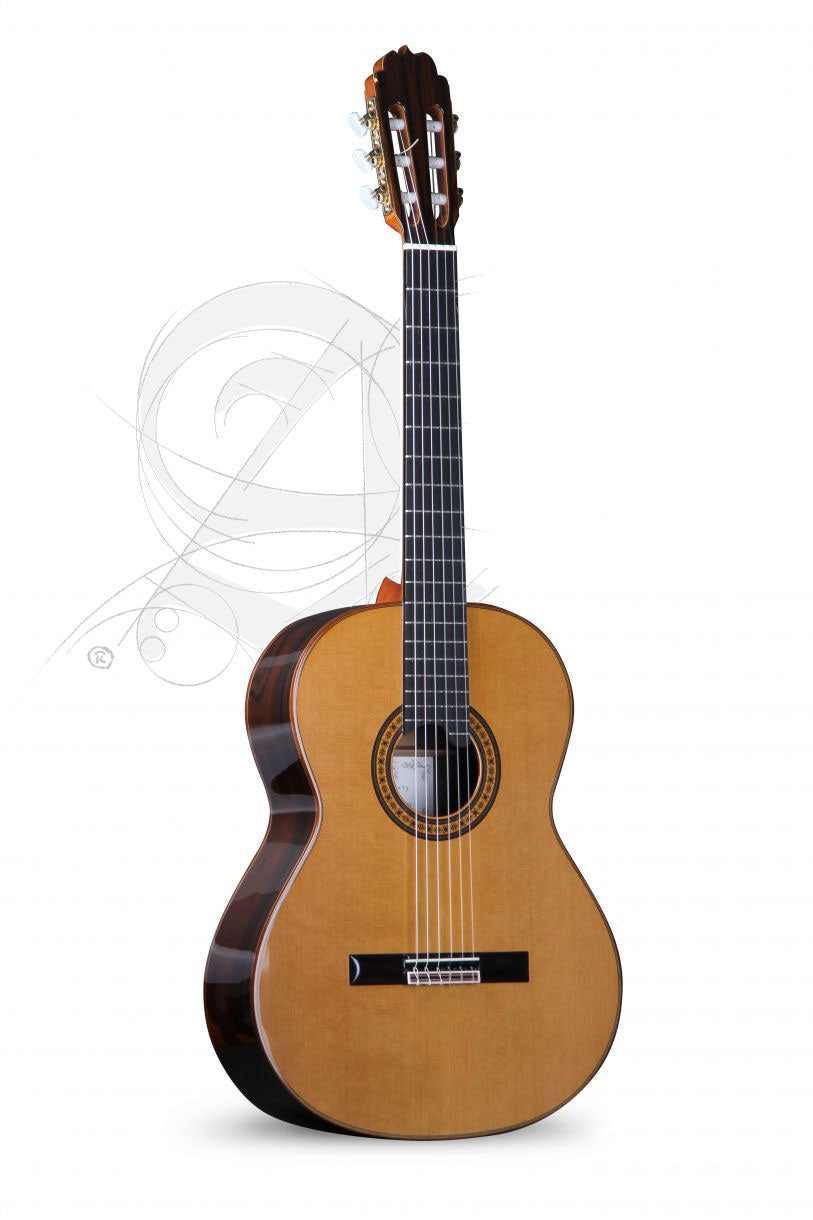 Professionnel Luthier Aniversario + 9650 Bam Iconic Etui
