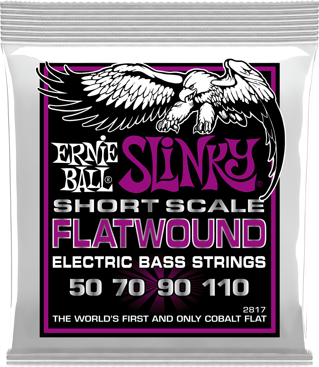 2817 Filet Plat Power Slinky Flatwound Short Scale 55-110
