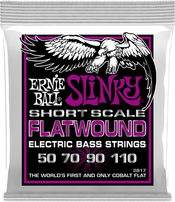 2817 Filet Plat Power Slinky Flatwound Short Scale 55-110
