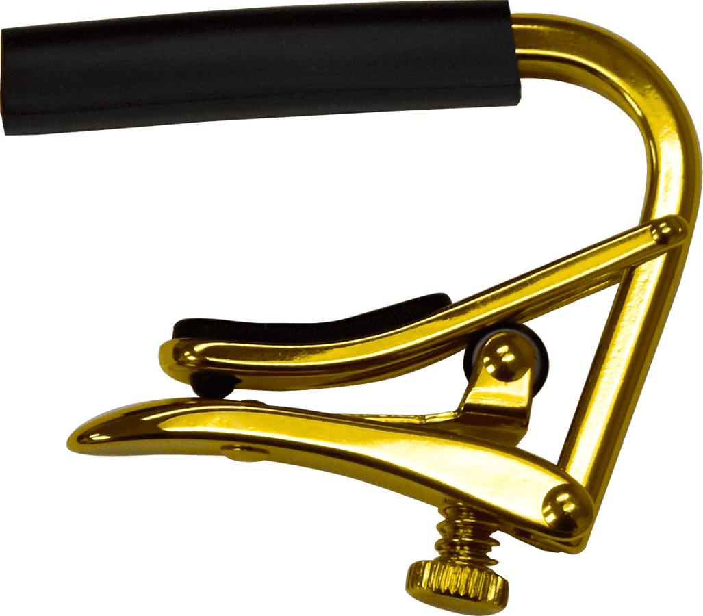 Gold Acoust/elec