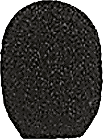 RPM304