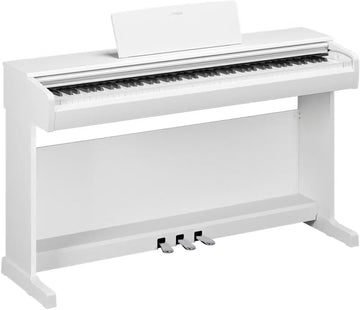Arius YDP-146 Blanc