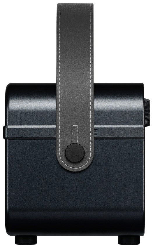 Hotone AP-20BK Pulze Jr. Black