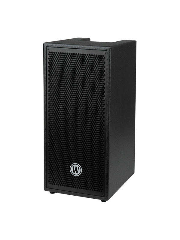 Baffle Gnome 2X10 Pouces 300 Watt 4 Ohms