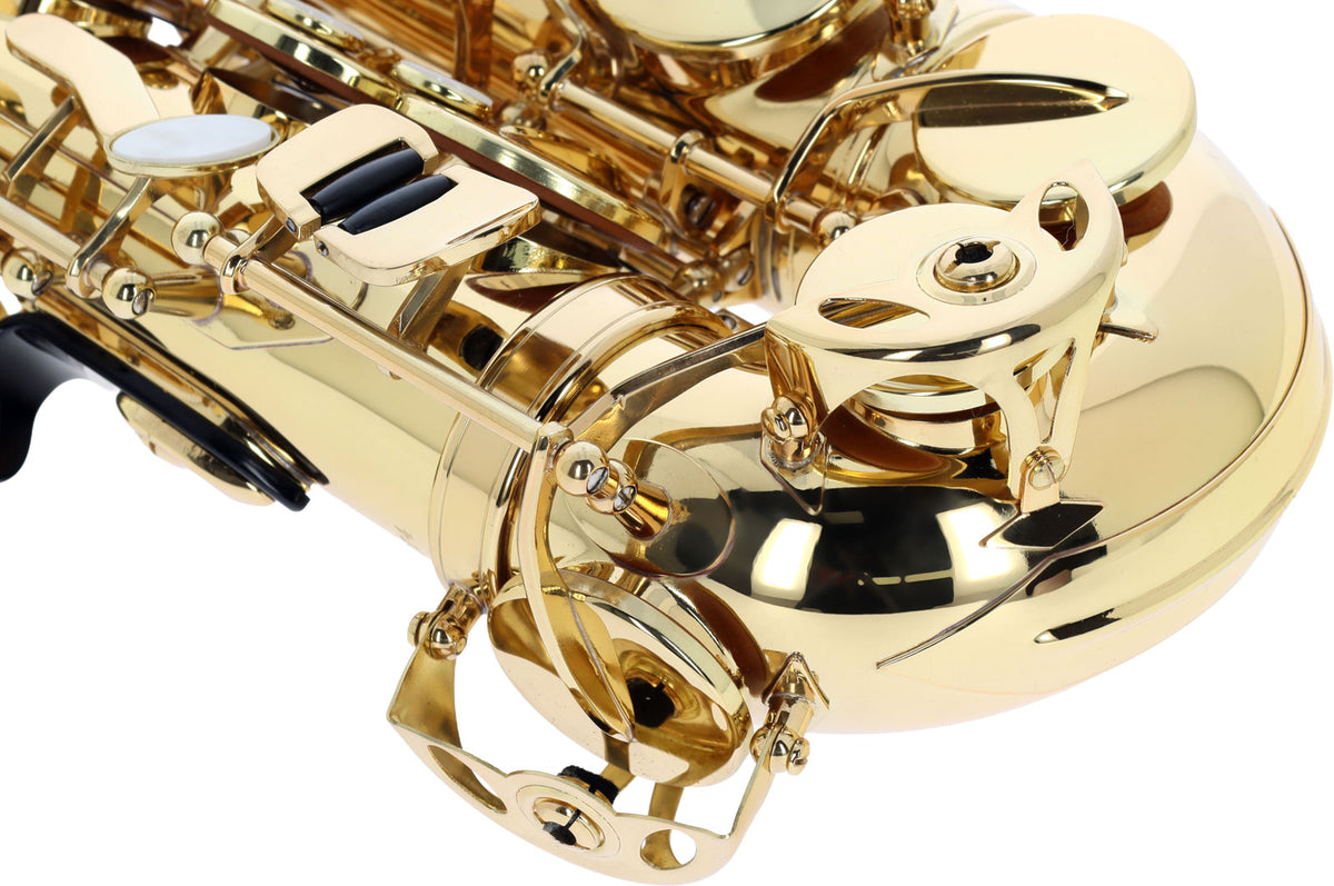 WSA100 - Alto Mi B Verni