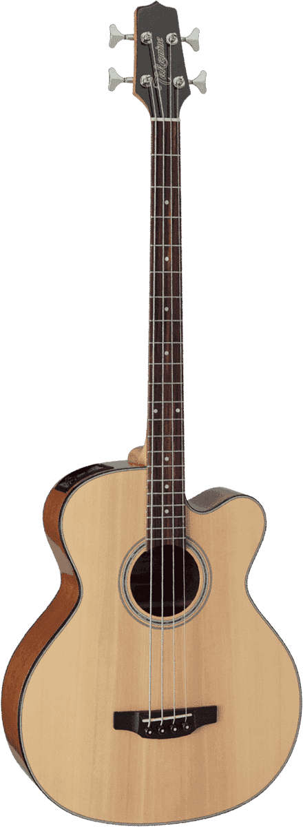 Basses Takamine