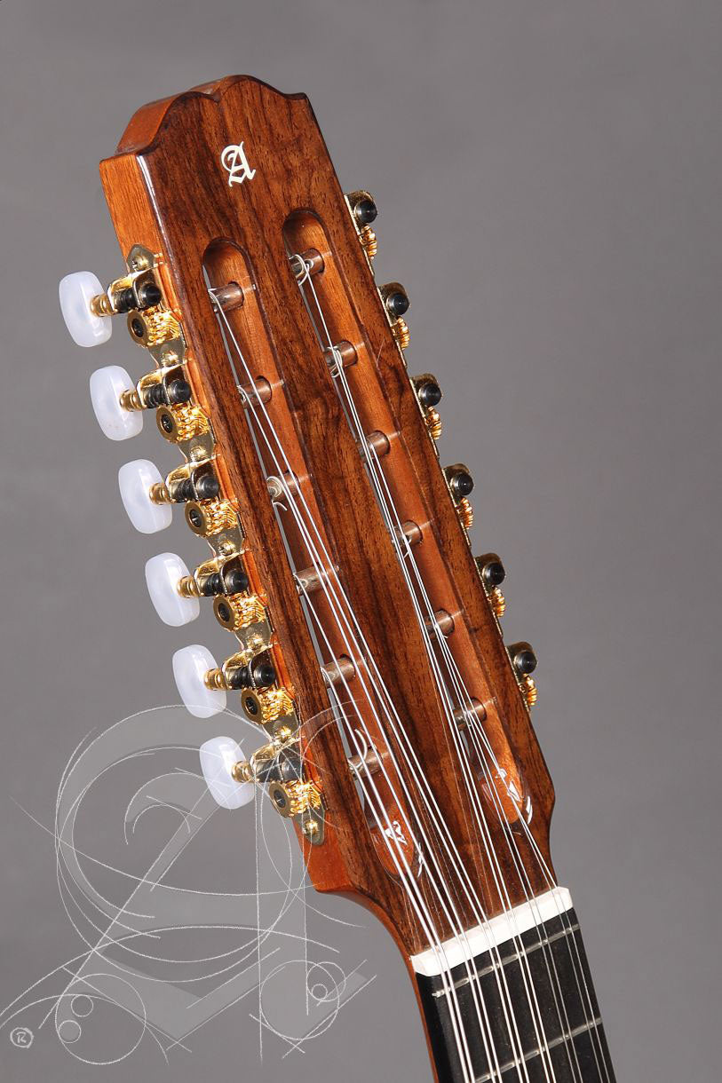 Conservatoire L-4P Lutes + 9534 Housse