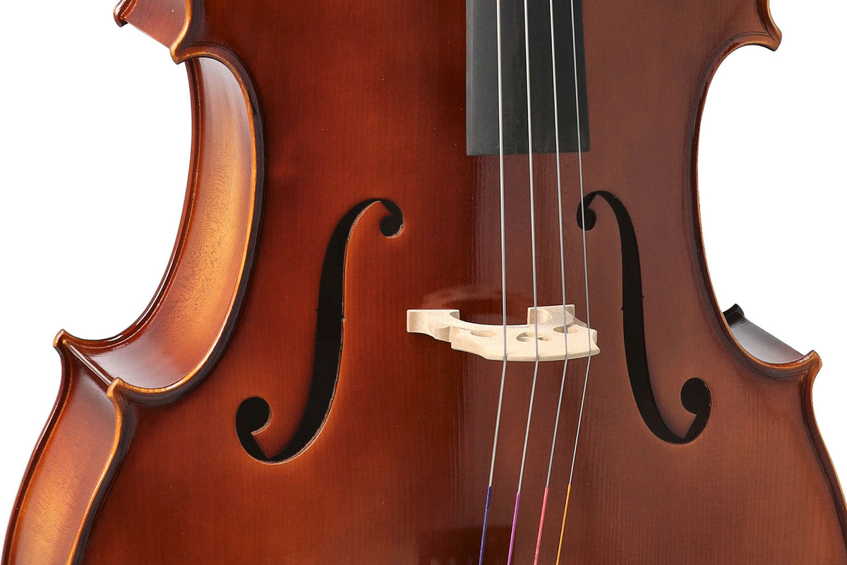 Violoncelle Anniversaire 4/4 Set Up