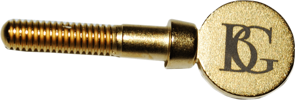 Vis Plaquée Or Pour Ligature De Clarinette
