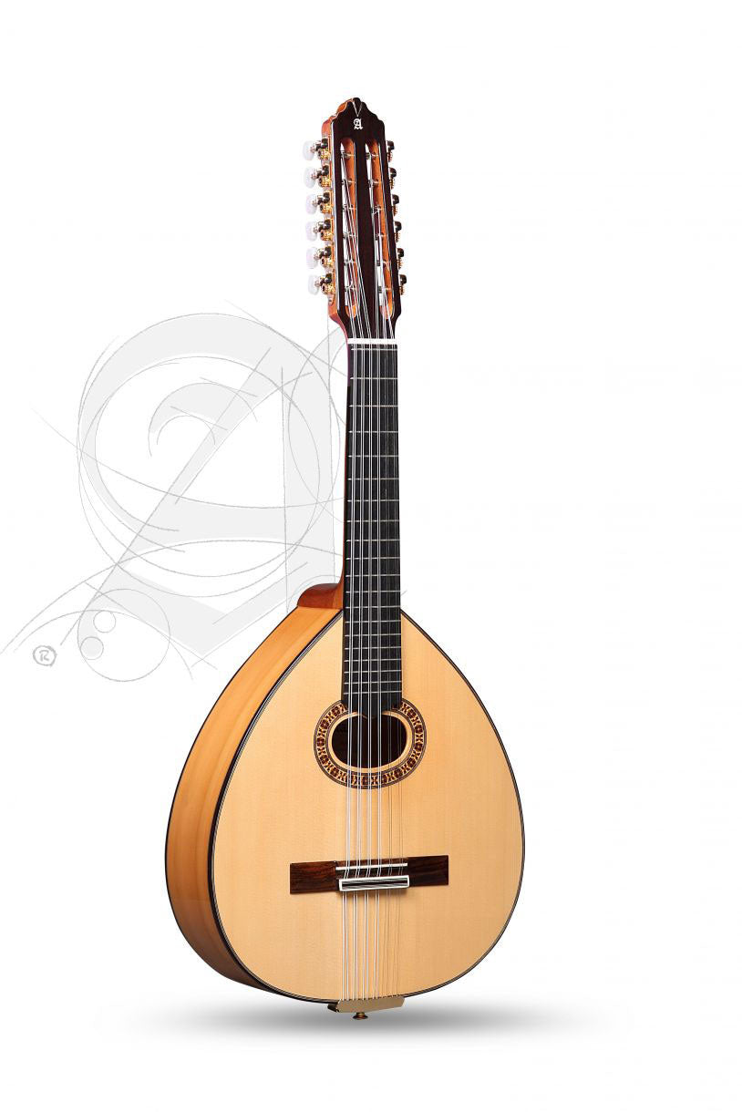 Conservatoire L-6Fc Lutes + 9534 Housse
