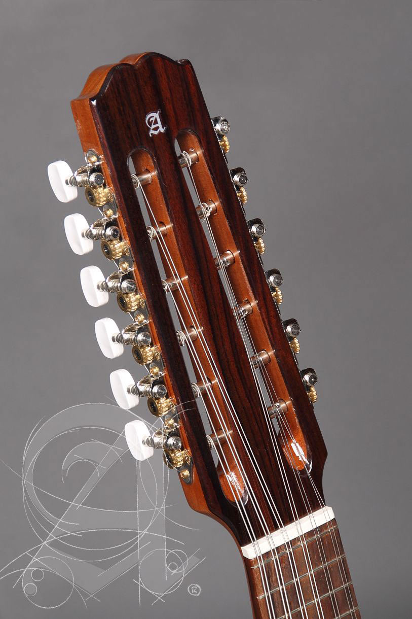 Etude 3C Bandurria + 9531 Housse