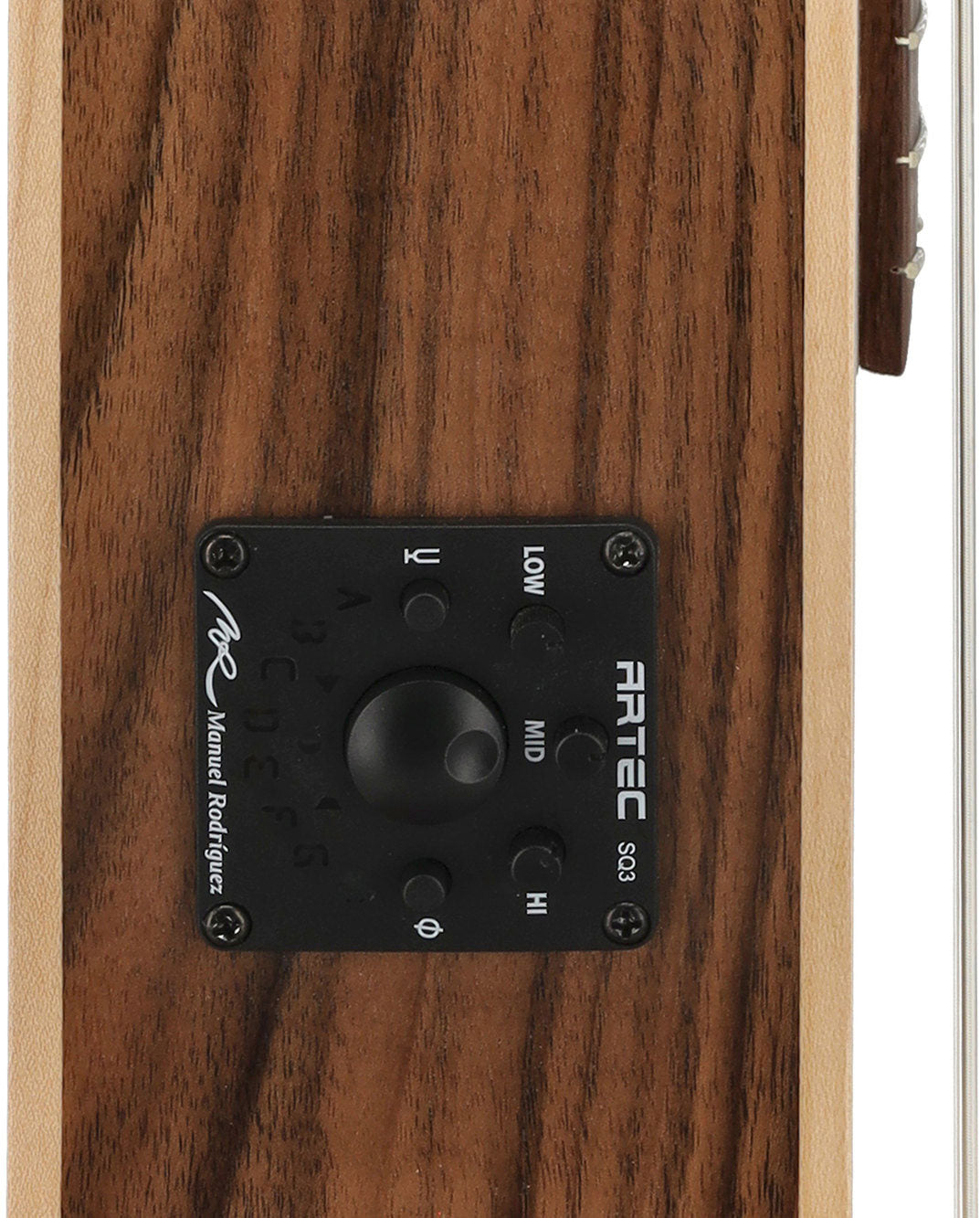 Samba Ecología Profundo Cutaway, truss rod