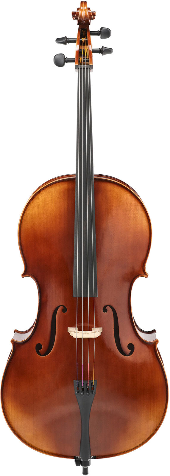 Violoncelle Anniversaire 4/4 Set Up