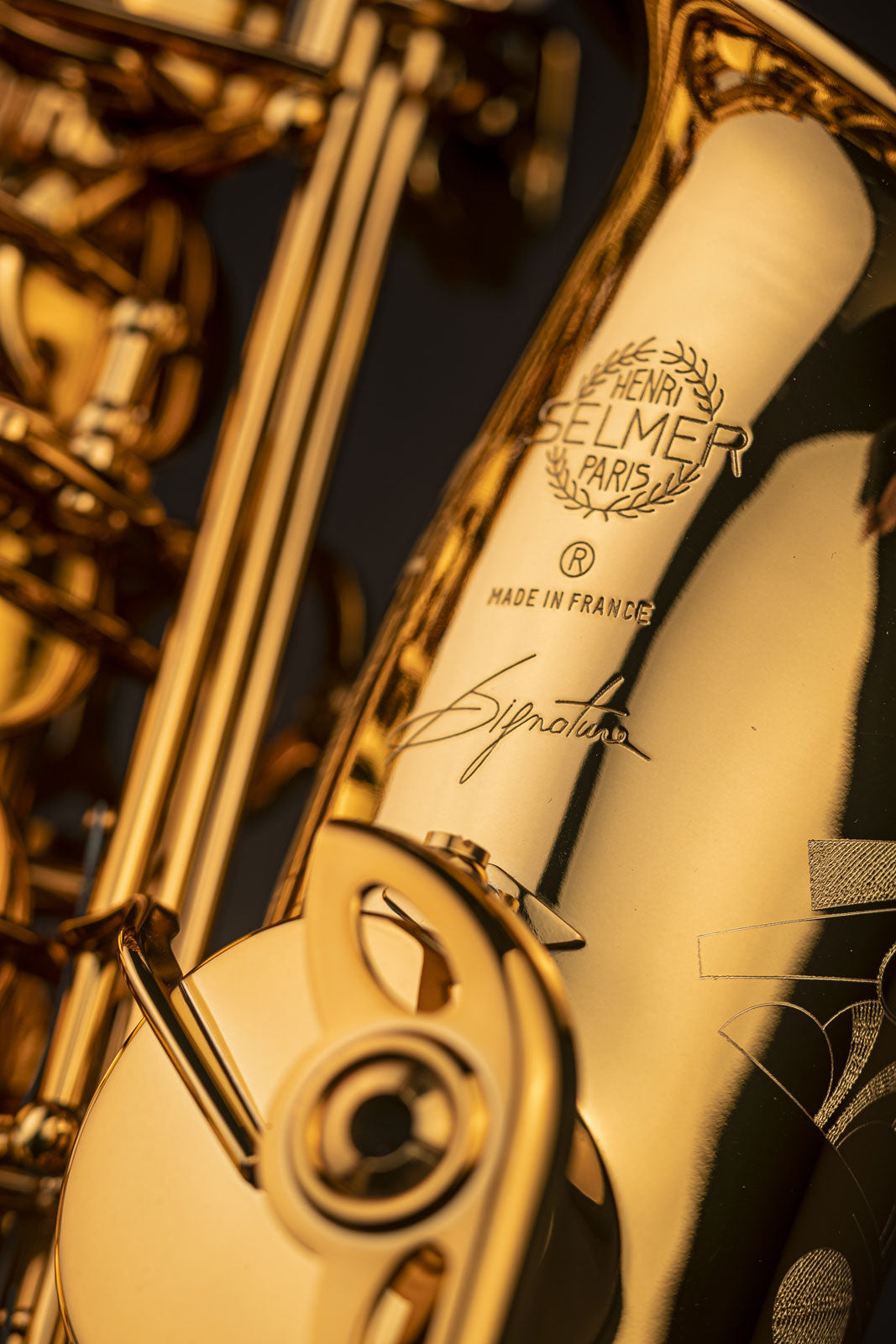 Signature - Alto Mib Verni