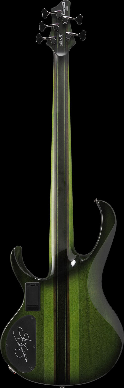 SDGB1-DMT Dark Moss Burst Signature Steve Dirgio